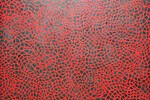 Yayoi Kusama -  Infinity Nets [ENTK]