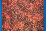 Yayoi Kusama -  Dots Obsession T.WO