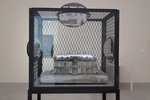 Louise Bourgeois - The Institute