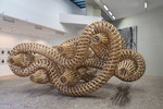 Richard Deacon - What Could Make Me Feel This Way (A)