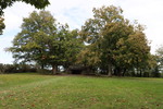 La Roche-aux-F&eacute;es