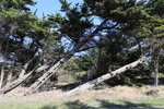 Ile de Oleron