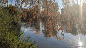 entlang des Tarn