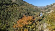 entlang des Tarn