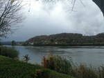 Rhein